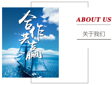 公司简介